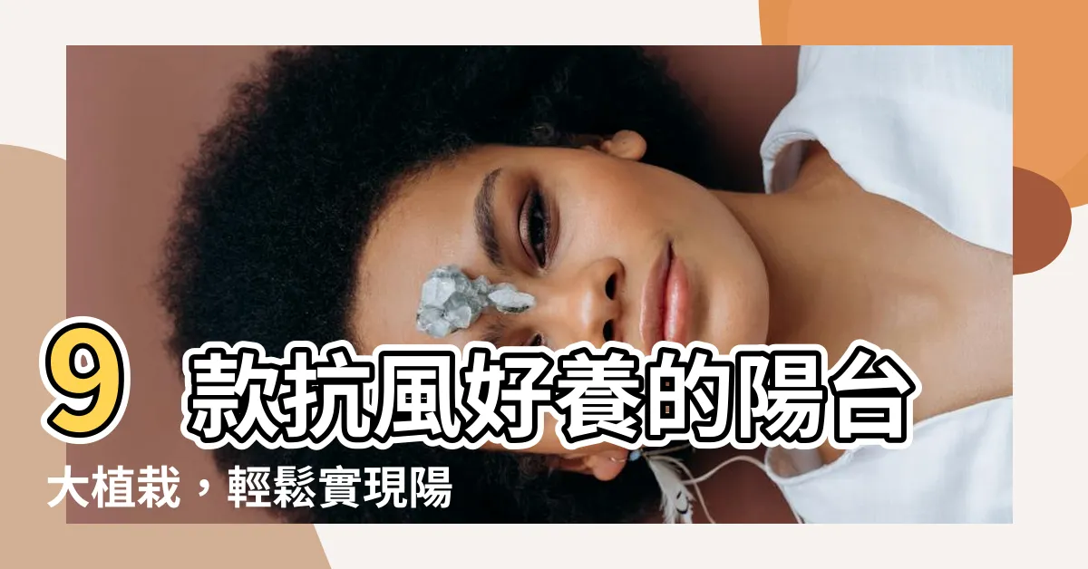 【陽台種樹】9款抗風好養的陽台大植栽，輕鬆實現陽台種樹夢！