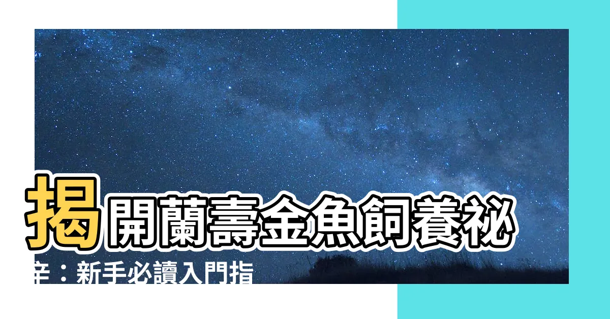 【蘭壽金魚飼養方法】揭開蘭壽金魚飼養秘辛：新手必讀入門指南！