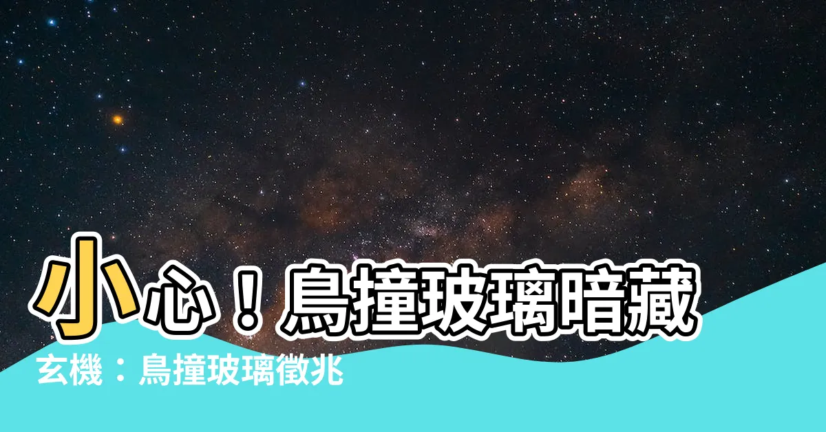 【鳥撞玻璃徵兆】小心！鳥撞玻璃暗藏玄機：鳥撞玻璃徵兆一次看懂
