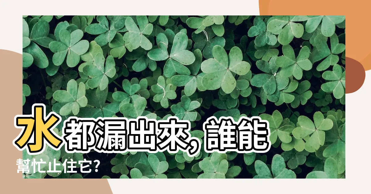 【漏出來】水都漏出來, 誰能幫忙止住它?