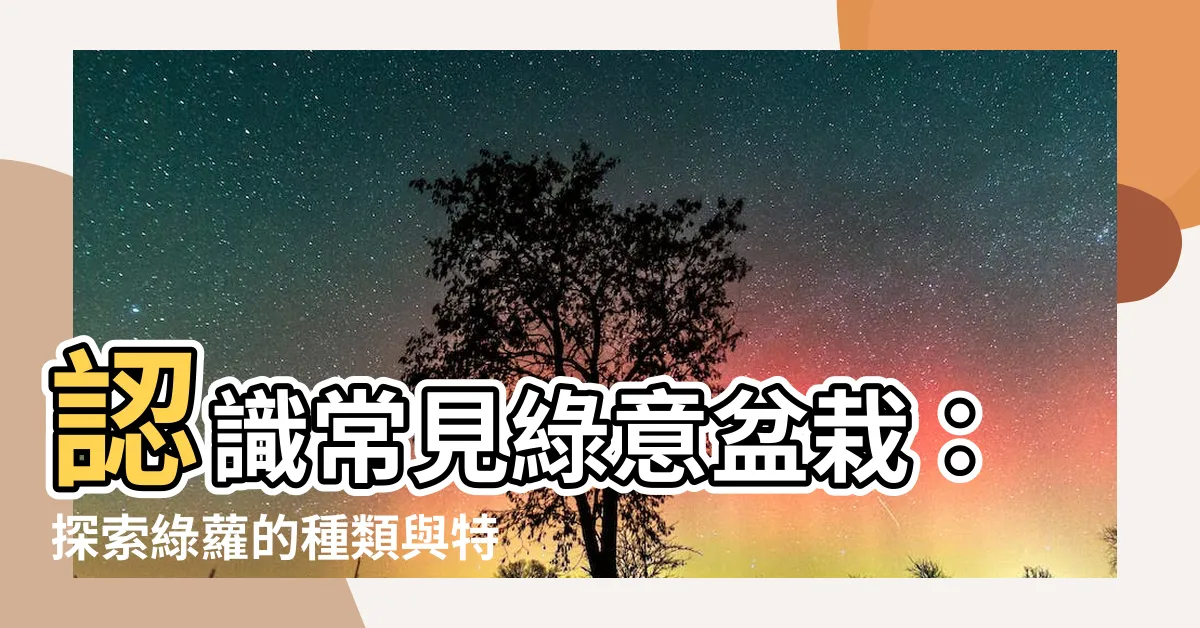 【綠蘿】認識常見綠意盆栽：探索綠蘿的種類與特色