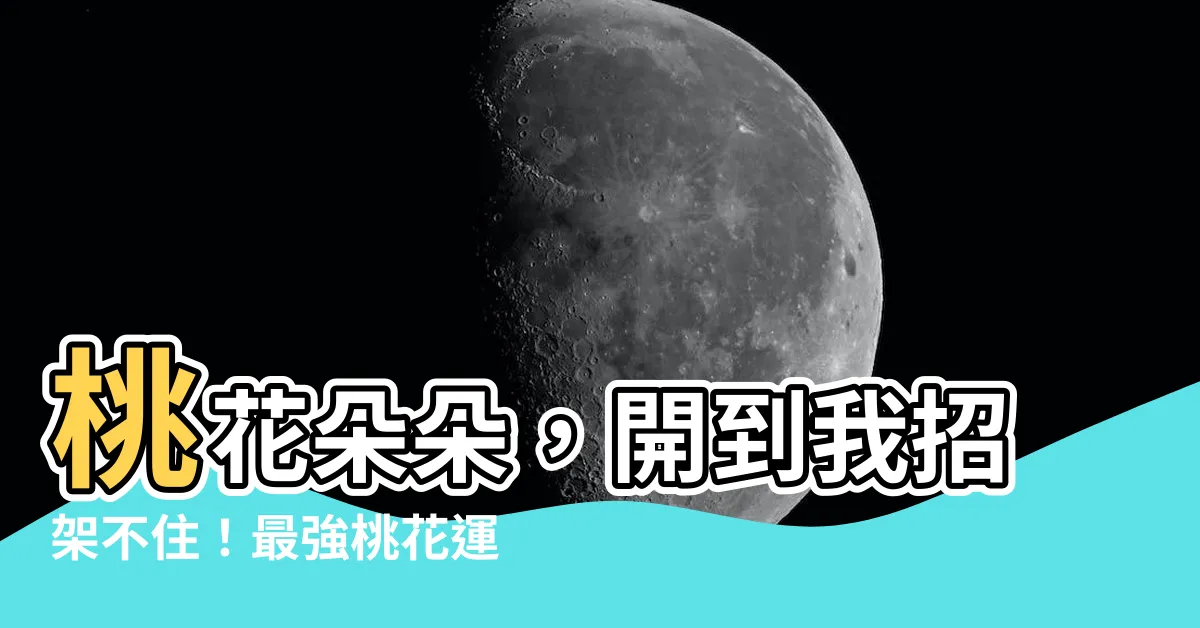 【最強桃花運】桃花朵朵，開到我招架不住！最強桃花運，招桃花秘技獨家公開！