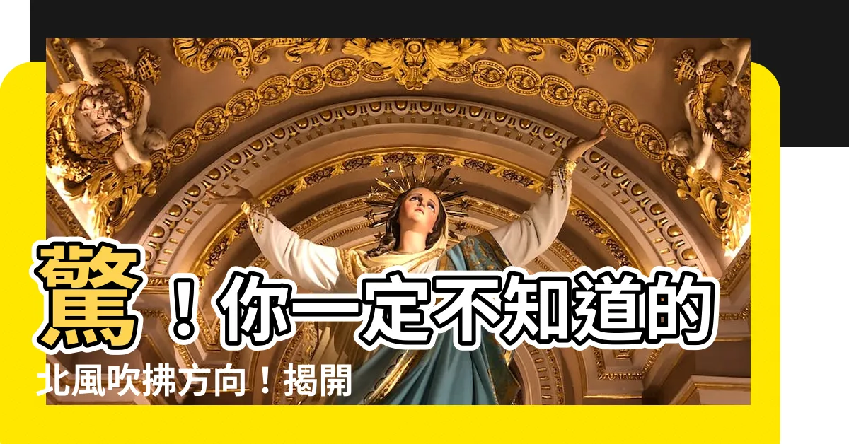 【吹北風方向】驚！你一定不知道的北風吹拂方向！揭開天氣迷思