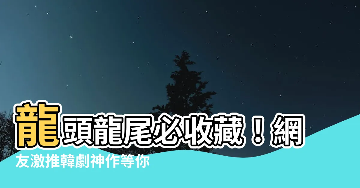 【龍頭龍尾】龍頭龍尾必收藏！網友激推韓劇神作等你追