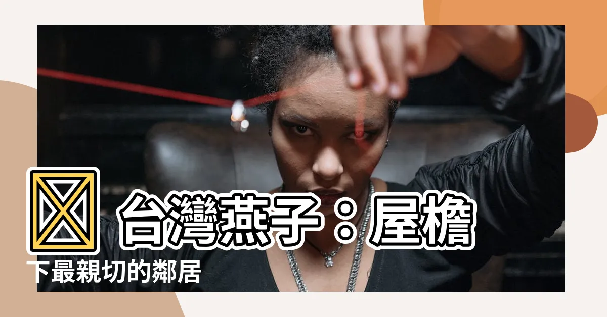 【台灣燕子】🏠 台灣燕子：屋檐下最親切的鄰居