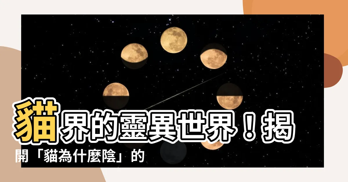 【貓為什麼陰】貓界的靈異世界！揭開「貓為什麼陰」的7大證據