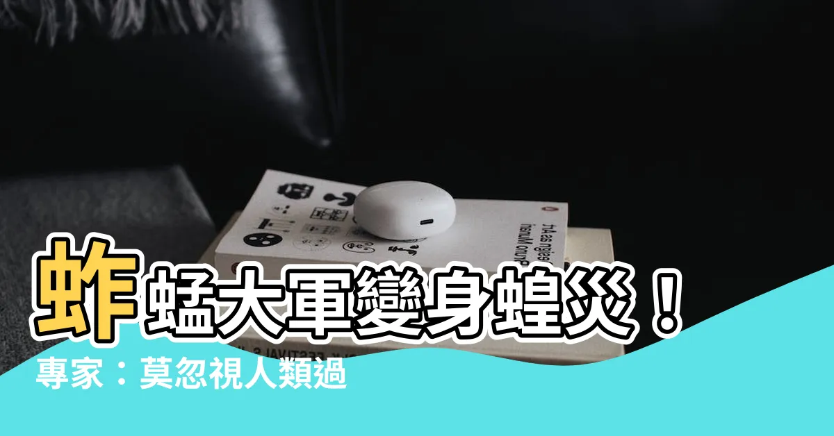 【蚱蜢變蝗蟲】蚱蜢大軍變身蝗災！專家：莫忽視人類過度開發的影響