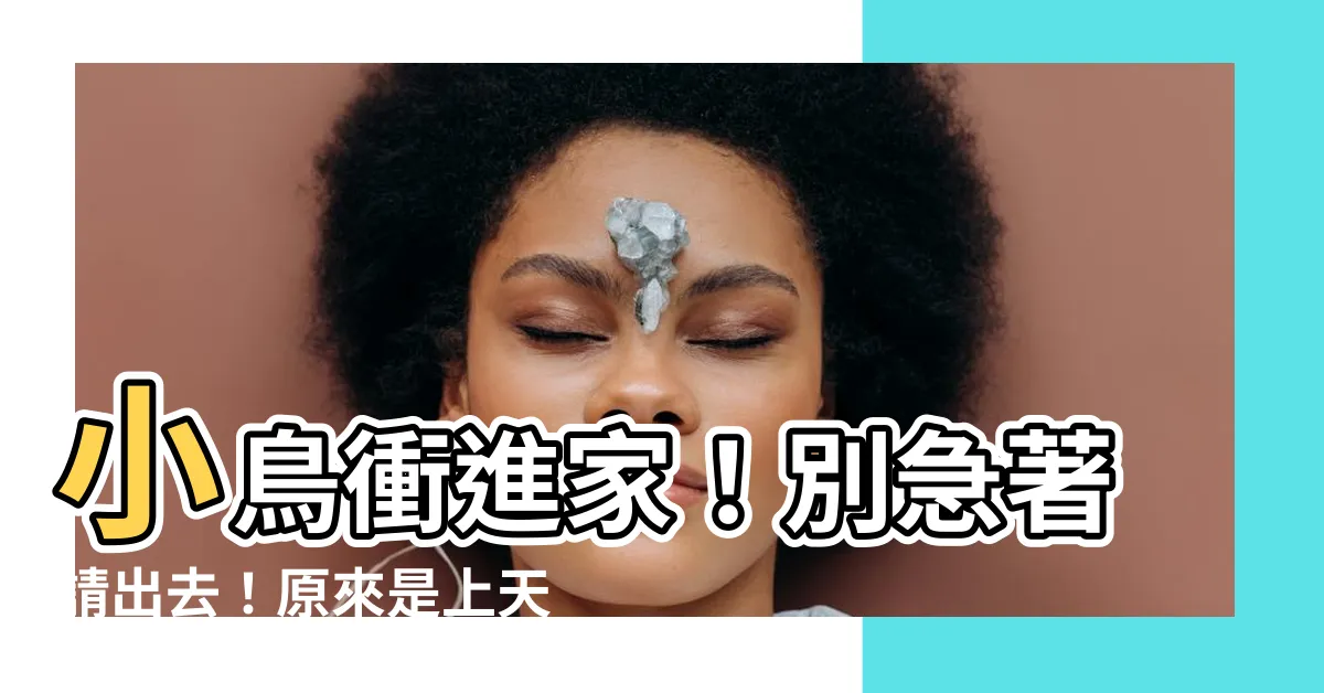 【小鳥跑進家裡】小鳥衝進家！別急著請出去！原來是上天賜予的好預兆