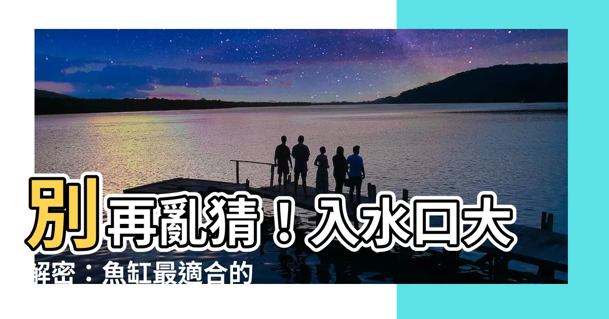 【入水口】別再亂猜！入水口大解密：魚缸最適合的進出水口配置一次告訴你