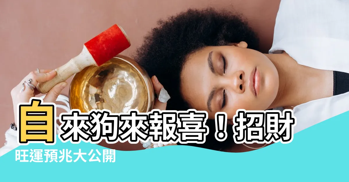 【自來狗】自來狗來報喜！招財旺運預兆大公開