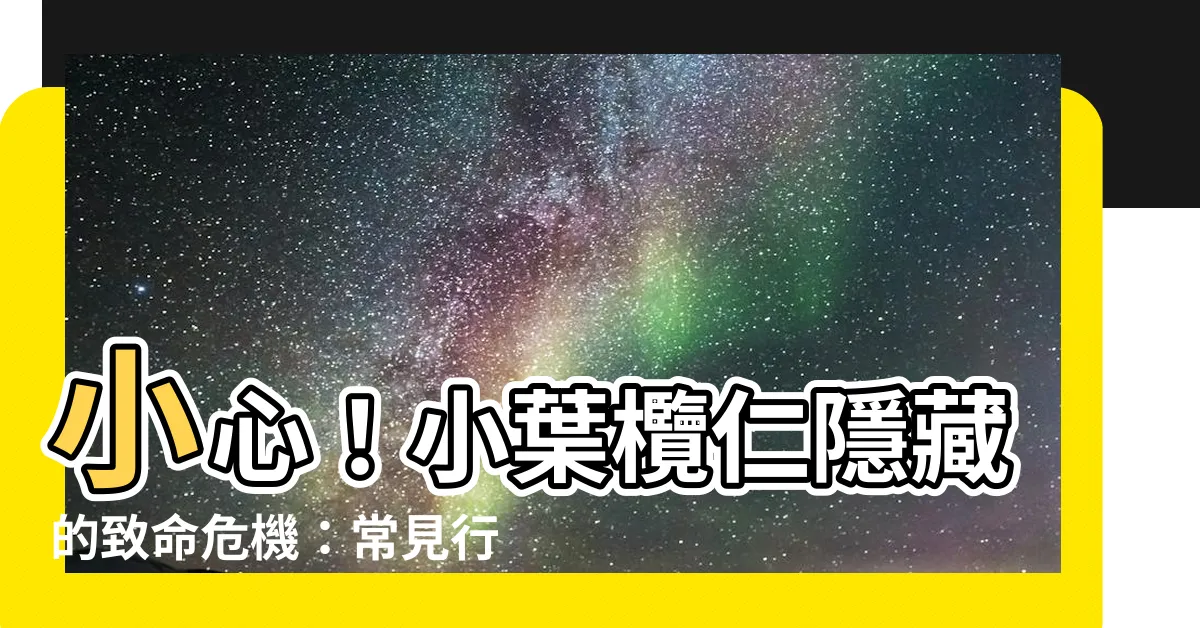 【小葉欖仁危害】小心！小葉欖仁隱藏的致命危機：常見行道樹的危害大揭密