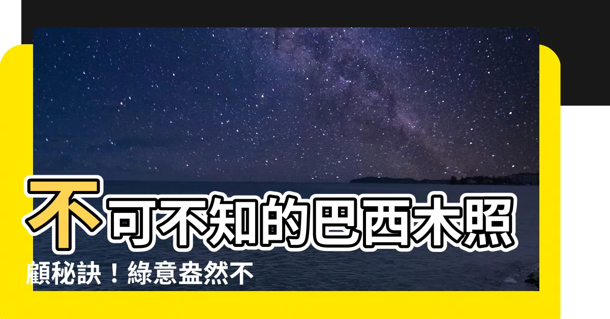 【巴西木照顧】不可不知的巴西木照顧秘訣！綠意盎然不是夢