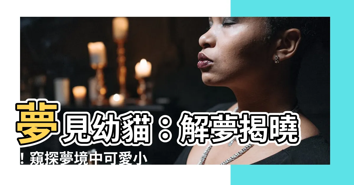 【夢見幼貓】夢見幼貓：解夢揭曉！窺探夢境中可愛小毛孩的寓意！