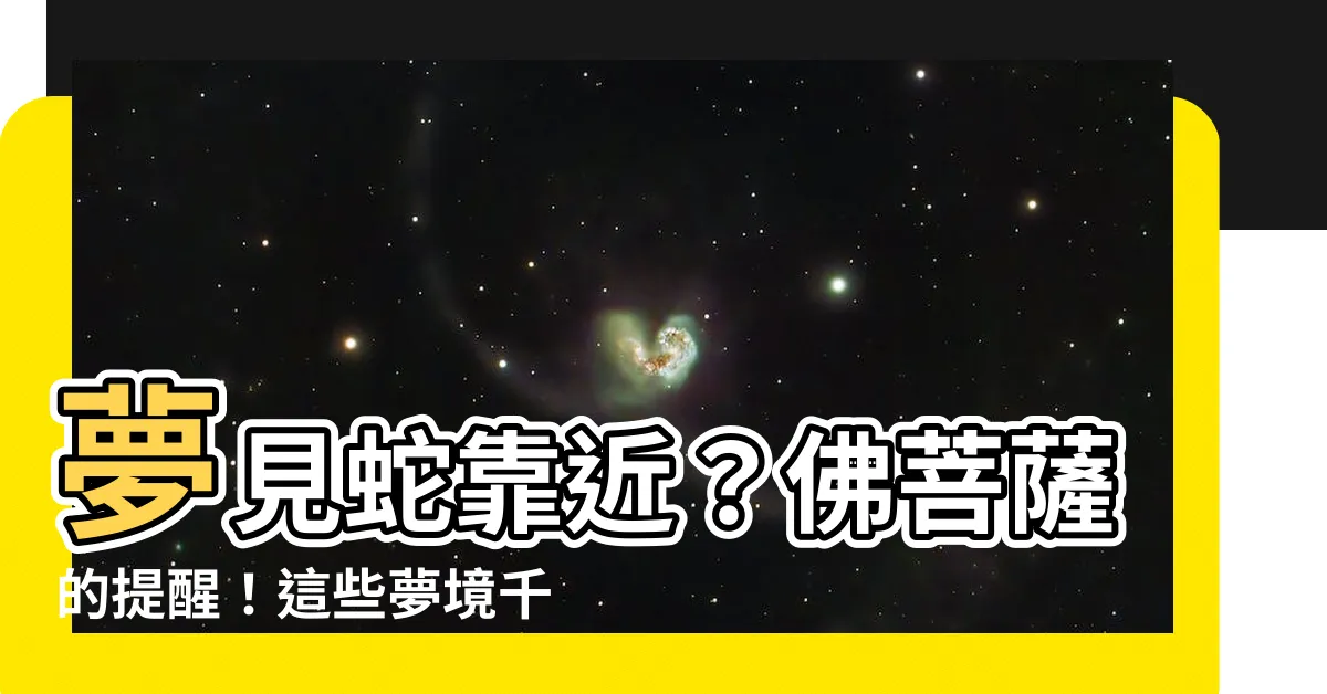 【夢見蛇靠近】夢見蛇靠近？佛菩薩的提醒！這些夢境千萬別忽視