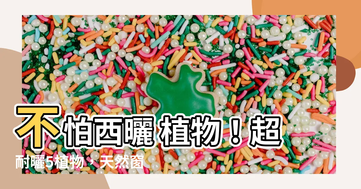 【不怕西曬 植物】不怕西曬 植物！超耐曬5植物，天然窗簾防曬絕佳選擇