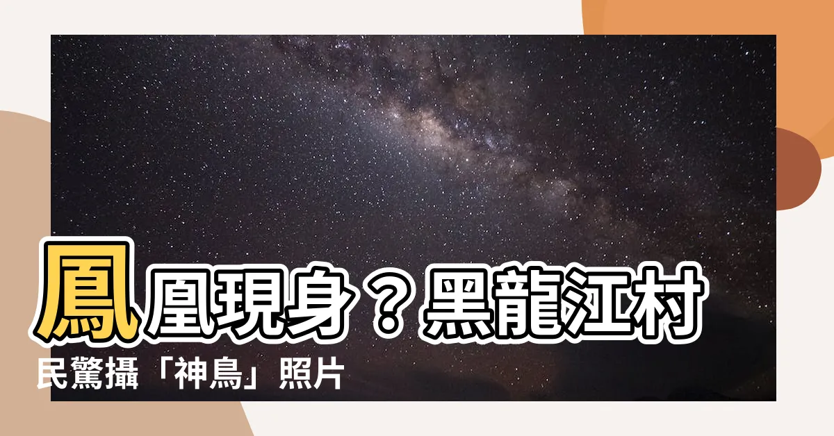 【鳳凰存在嗎】鳳凰現身?黑龍江村民驚攝「神鳥」照片,解開16年爭議!