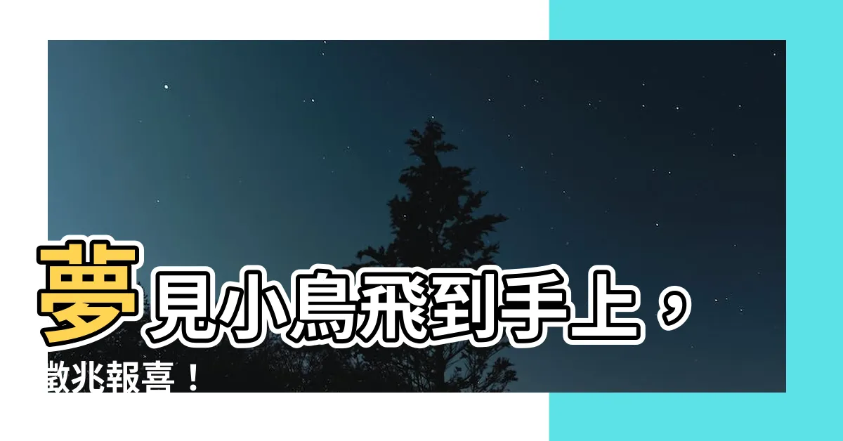 【夢到小鳥飛到手上】夢見小鳥飛到手上，徵兆報喜！