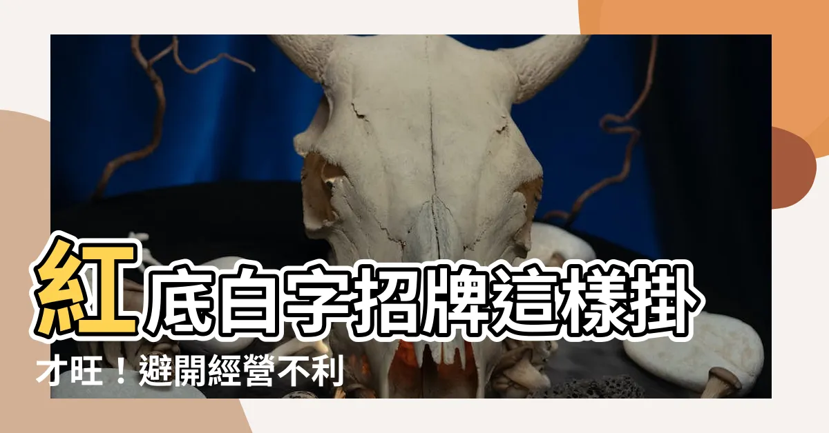 【紅底白字招牌】紅底白字招牌這樣掛才旺！避開經營不利的風水地雷