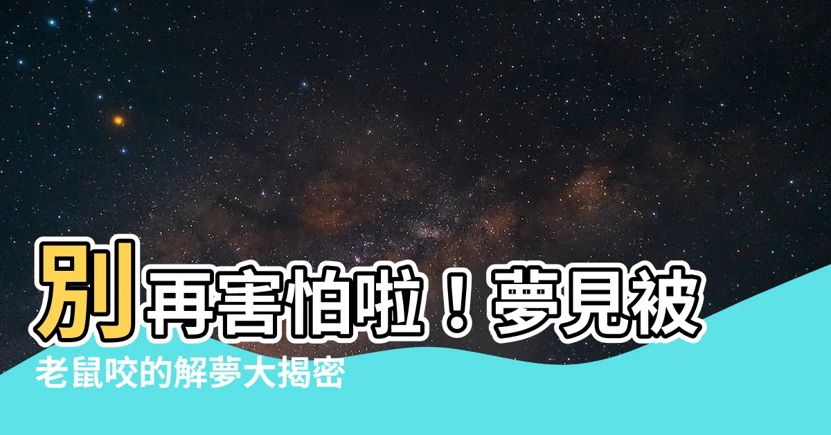 【被老鼠咬解夢】別再害怕啦！夢見被老鼠咬的解夢大揭密