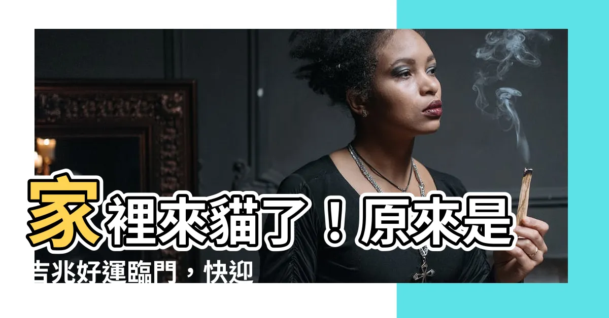 【貓來家裡 代表什麼】家裡來貓了!原來是吉兆好運臨門,快迎貓咪入住吧!