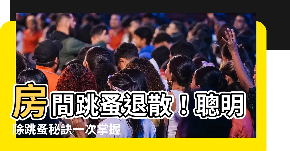 【房間有跳蚤該怎麼辦】房間跳蚤退散！聰明除跳蚤秘訣一次掌握