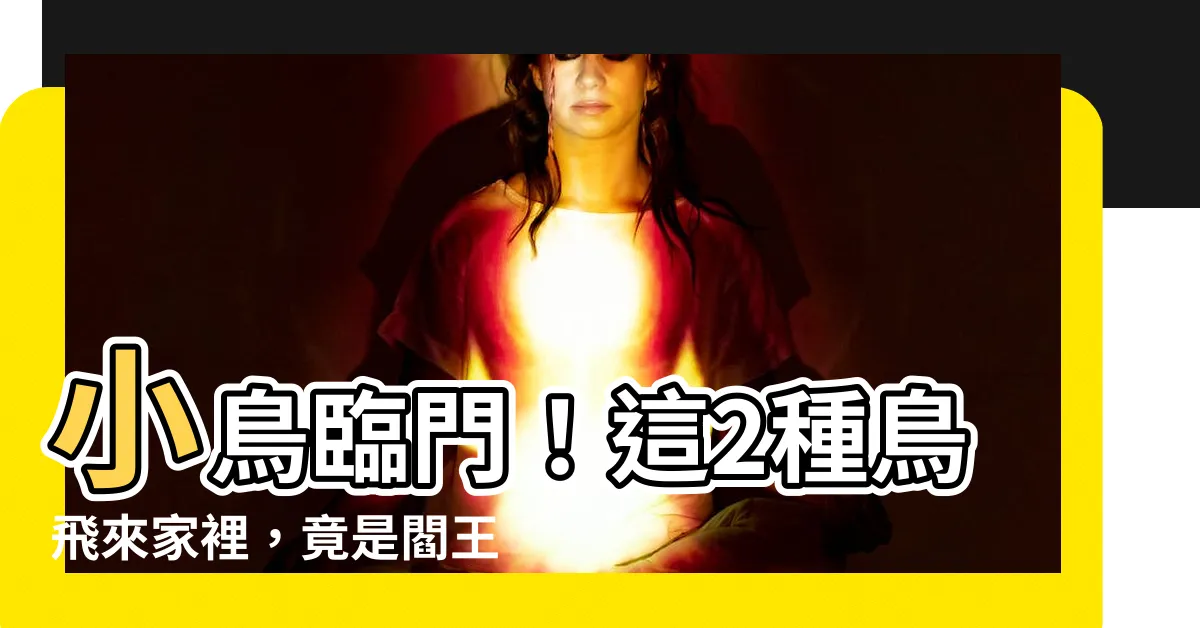 【小鳥飛來家裡】小鳥臨門！這2種鳥飛來家裡，竟是閻王爺的死亡預告？