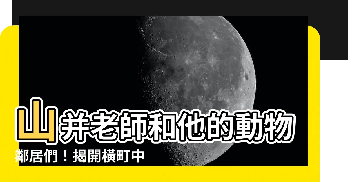 【山並先生】山並老師和他的動物鄰居們！揭開橫町中的温馨故事