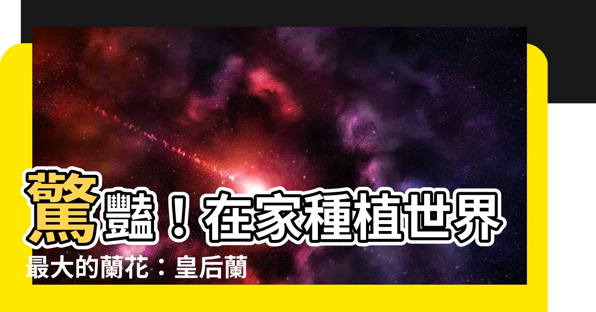 【皇后蘭種植】驚豔！在家種植世界最大的蘭花：皇后蘭種植秘訣全攻略