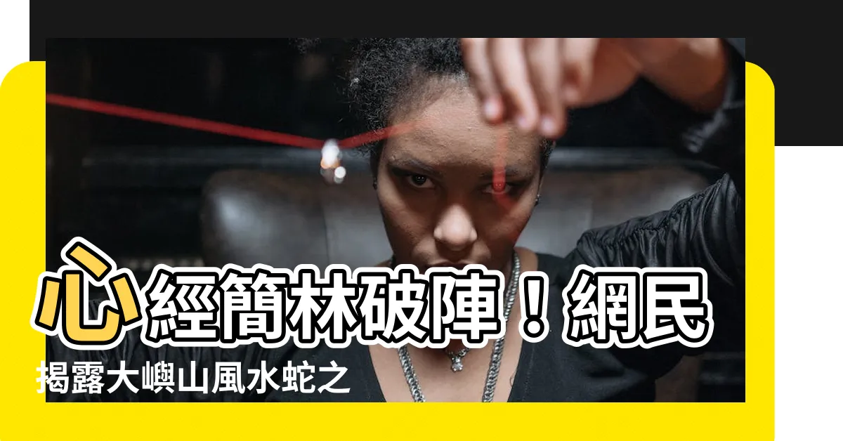 【心經簡林破陣】心經簡林破陣！網民揭露大嶼山風水蛇之謎