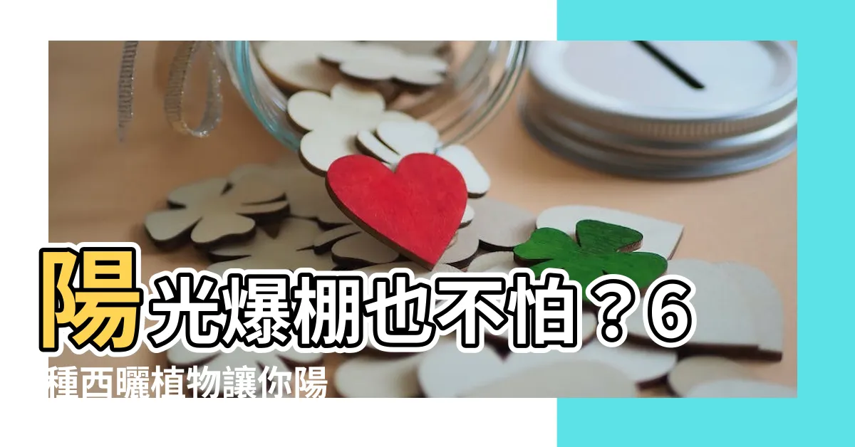 【適合西曬的植物】陽光爆棚也不怕？6 種西曬植物讓你陽台天天盛放