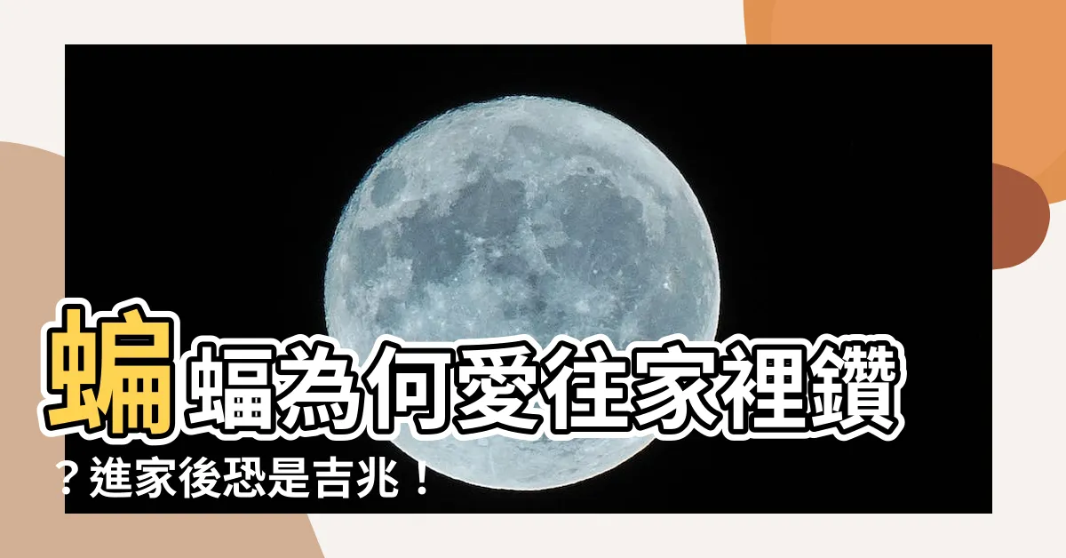【蝙蝠為什麼會跑進家裡】蝙蝠為何愛往家裡鑽？進家後恐是吉兆！民眾分享「幸運事件」