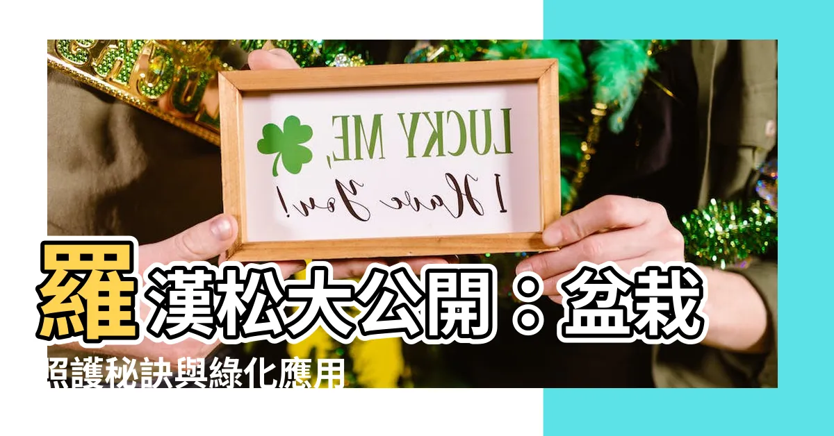 【羅漢 松】羅漢松大公開：盆栽照護秘訣與綠化應用一次搞定！