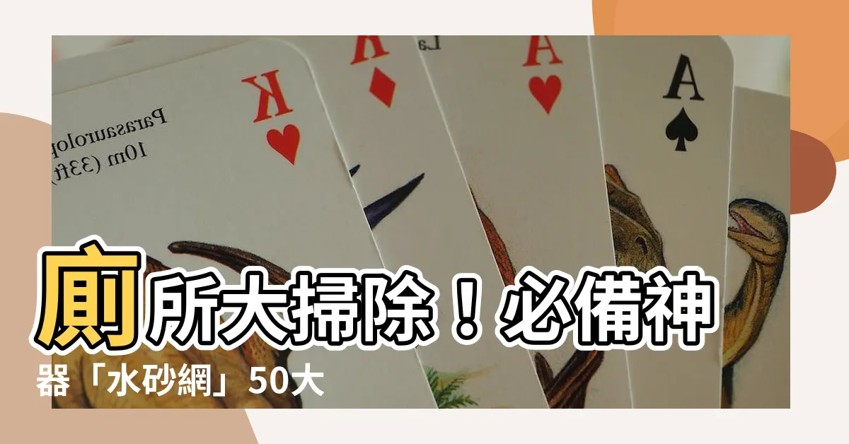 【水砂網】廁所大掃除！必備神器「水砂網」50大強效除垢力推薦