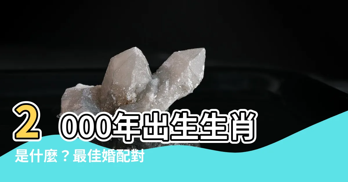 【2000年出生生肖】2000年出生生肖是什麼？最佳婚配對象大公開！公開