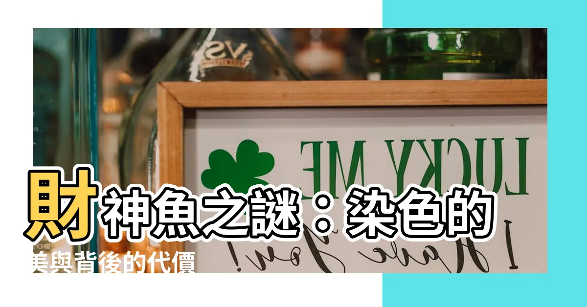 【財神魚】財神魚之謎：染色的美與背後的代價