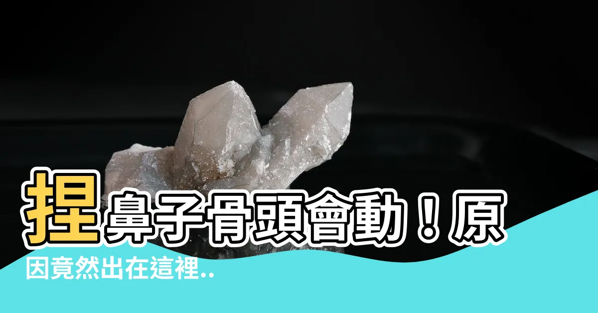 【鼻子有骨頭嗎】捏鼻子骨頭會動！原因竟然出在這裡...？別再以為鼻子沒骨頭了