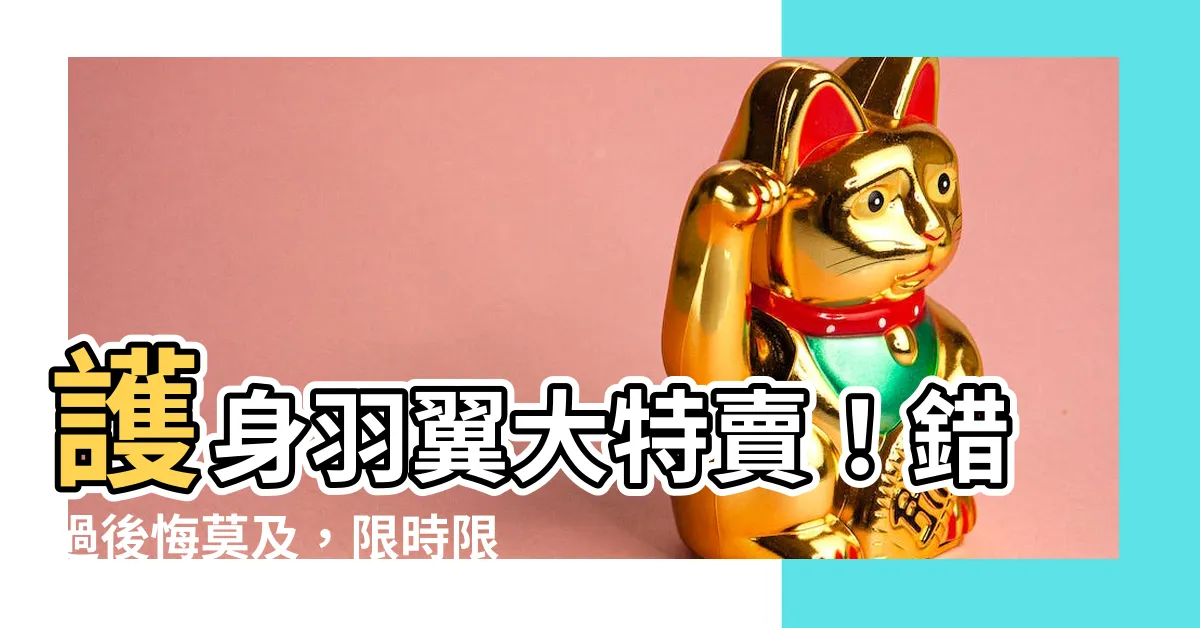 【護身羽翼】護身羽翼大特賣！錯過後悔莫及，限時限量搶購！