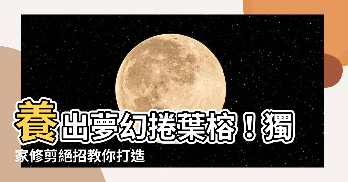 【捲葉榕樹修剪】養出夢幻捲葉榕！獨家修剪絕招教你打造葉捲有光澤的美麗盆栽