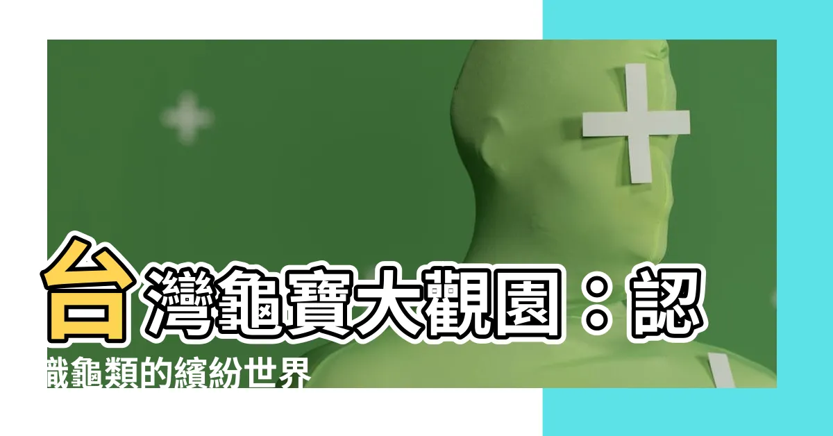 【龜的種類】台灣龜寶大觀園:認識龜類的繽紛世界