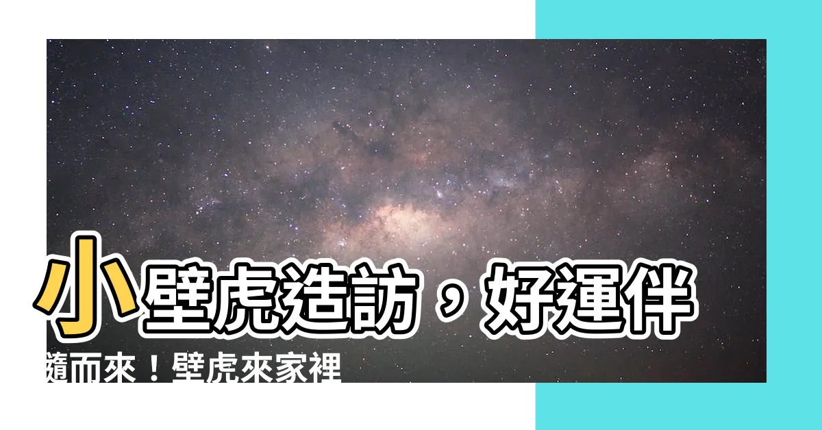 【壁虎來家裡代表什麼】小壁虎造訪，好運伴隨而來！壁虎來家裡代表什麼？