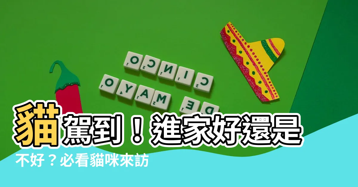 【貓進家好不好】貓駕到！進家好還是不好？必看貓咪來訪吉凶大解析