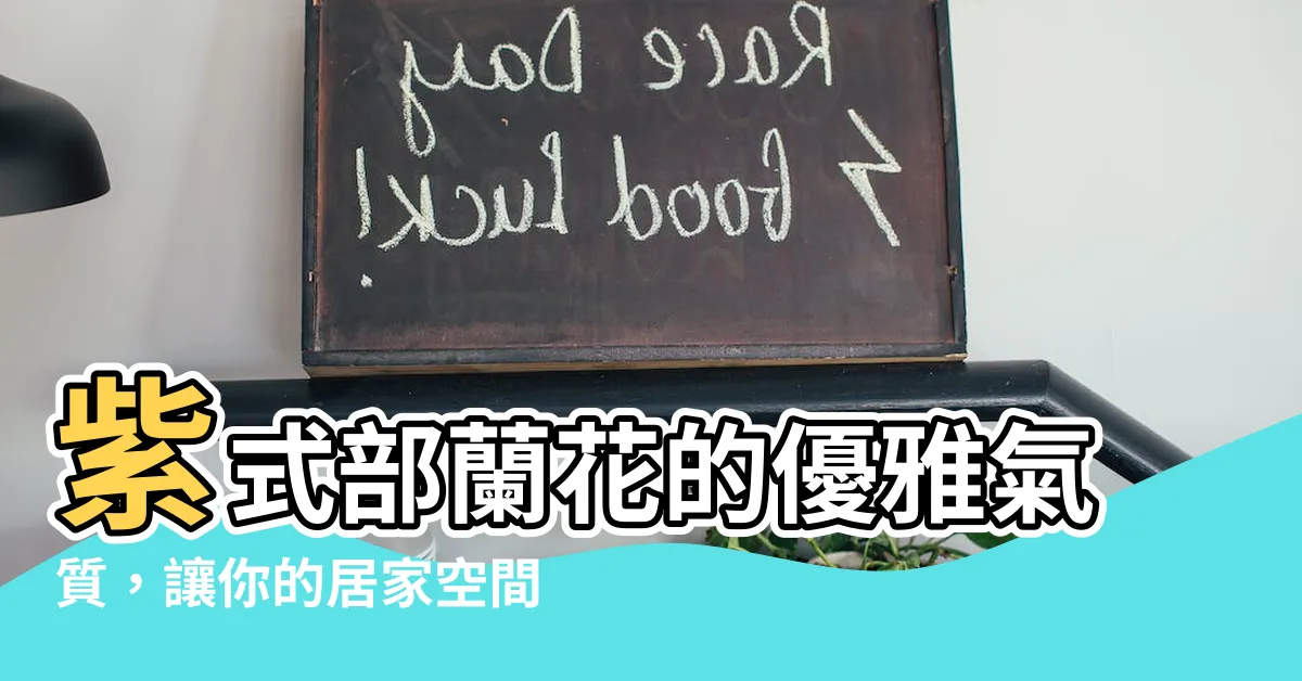 【紫式部蘭花】紫式部蘭花的優雅氣質，讓你的居家空間瞬間升級
