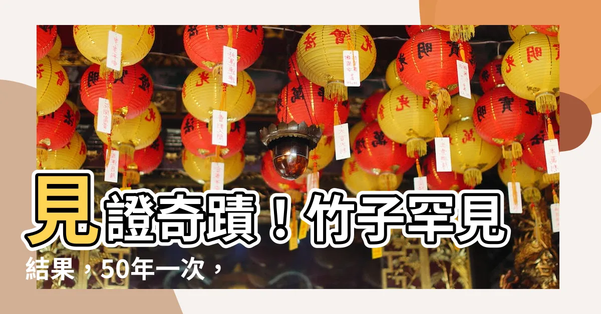 【竹子結果】見證奇蹟！竹子罕見結果，50年一次，一斤竟賣150元！