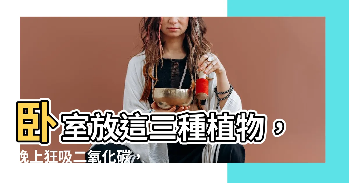 【晚上吸收二氧化碳的植物】卧室放這三種植物，晚上狂吸二氧化碳，隔天給你滿滿氧氣！
