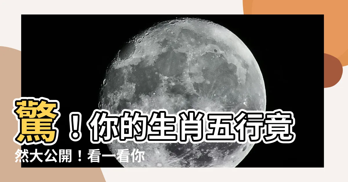 【生肖年份五行】驚！你的生肖五行竟然大公開！看一看你的屬性與命運