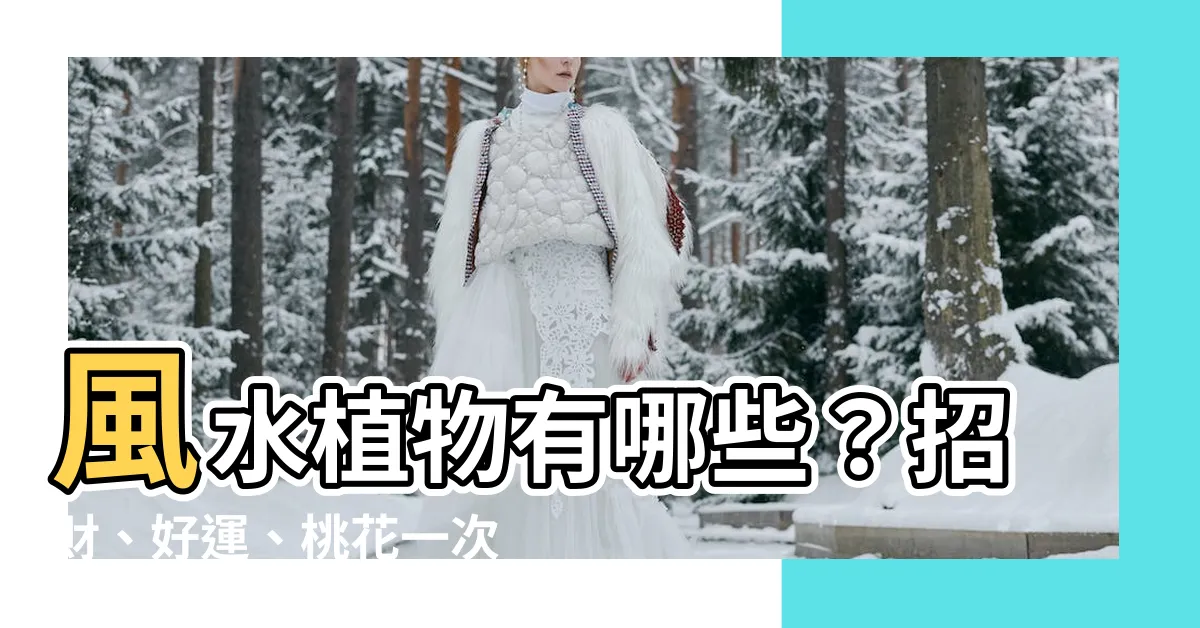【風水植物有哪些】風水植物有哪些？招財、好運、桃花一次滿足
