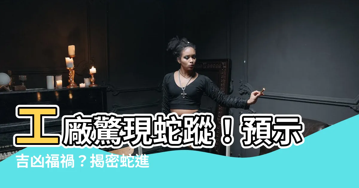 【工廠出現蛇】工廠驚現蛇蹤！預示吉凶福禍？揭密蛇進廠的玄奇徵兆！