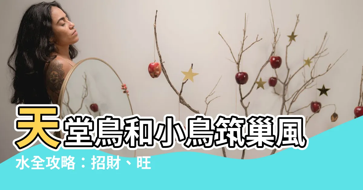 【小鳥花風水】天堂鳥和小鳥築巢風水全攻略:招財、旺運、避小人