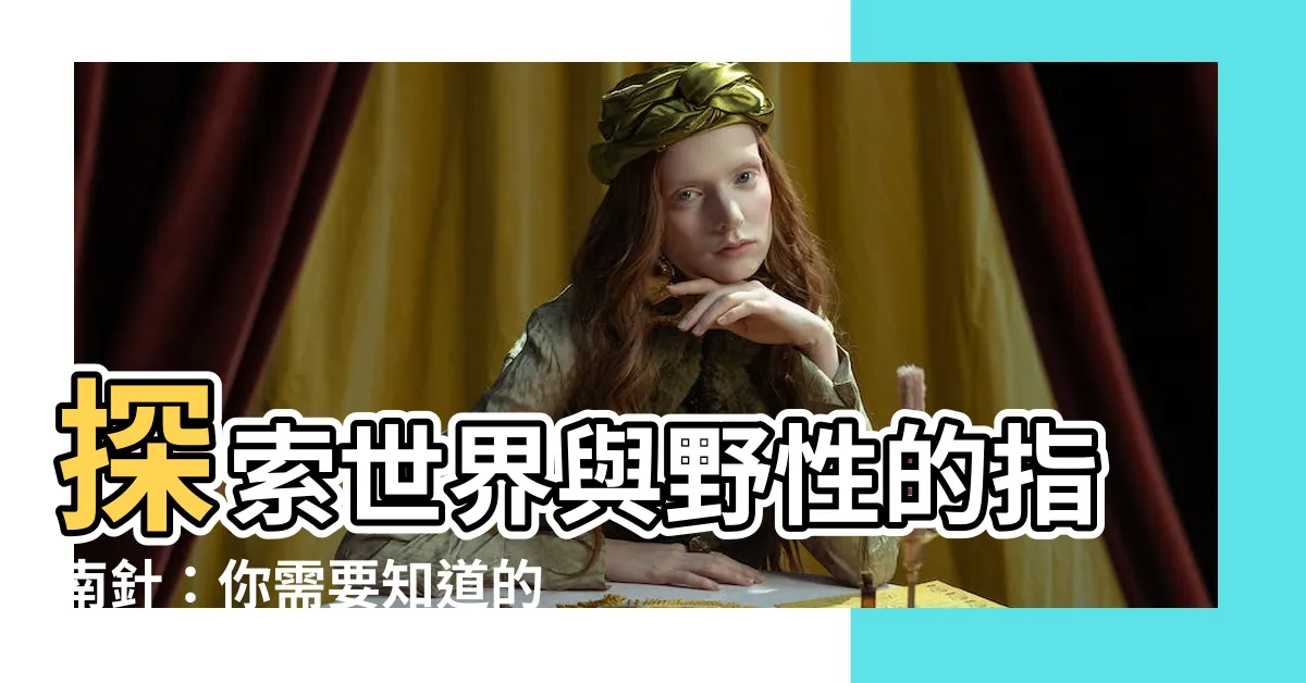 【指南針如何使用】探索世界與野性的指南針：你需要知道的如何使用指南針