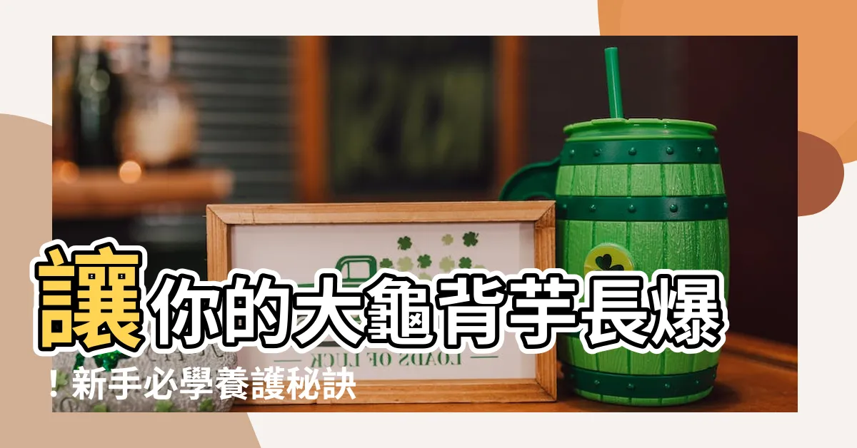 【大龜背芋】讓你的大龜背芋長爆！新手必學養護秘訣，打造一片綠洲